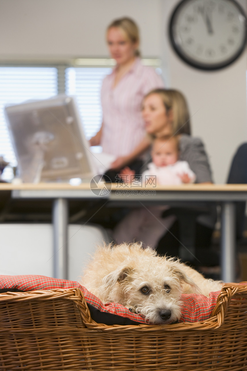 狗躺在家庭办公室里 有两名妇女和一名背景婴儿图片