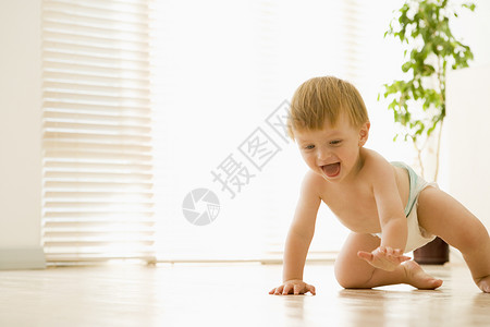 动话婴儿素材婴儿在室内爬动时微笑着笑容样子关爱男性植物孩子小男孩盆栽男生幸福孩子们背景