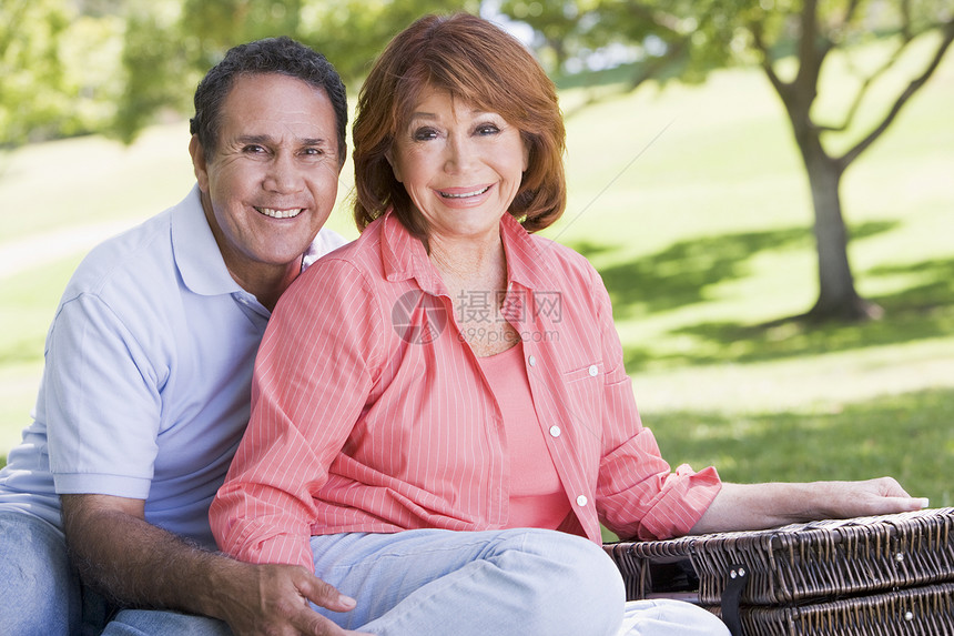 一对夫妇在野餐 握着手 微笑拉丁相机夫妻公园篮子退休亲热男人丈夫男性图片