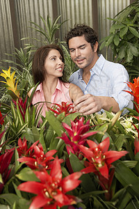 一家托儿所的夫妇选择厂园艺乐趣花朵决策女性成年人植物群房子消费者空闲背景图片
