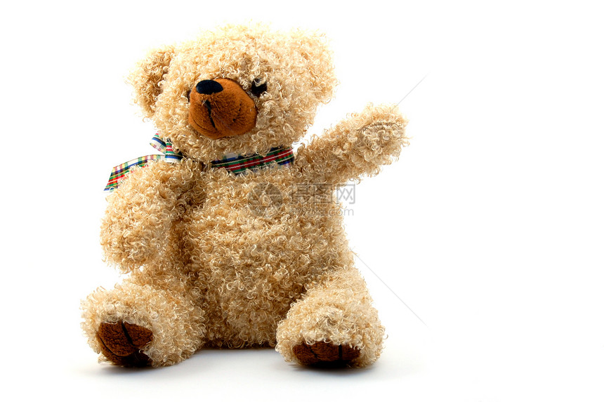 白背景孤立的泰迪熊展示孩子玩具卡片动物孩子们婴儿棕色礼物生日图片