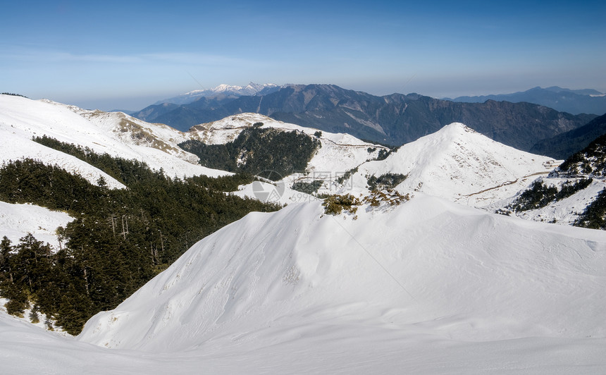 雪山风景蓝色峡谷戏剧性旅行场景环境公园森林合欢顶峰图片