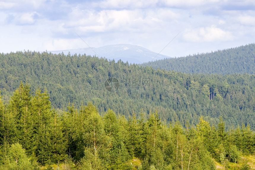 山山脉山腰森林木头顶峰绿色旅游云杉爬坡道天空林地图片