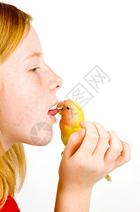 爱鸟是小姑娘的舌头背景图片