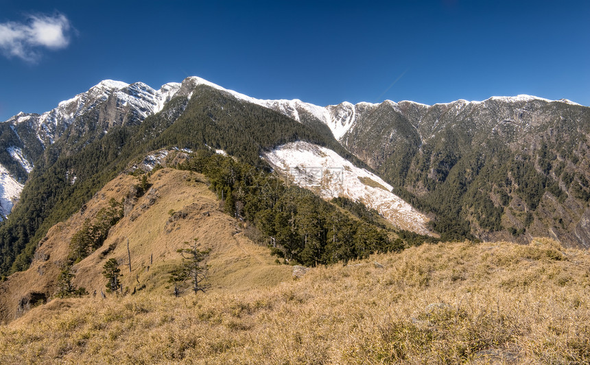 冬季风景植物群蓝色悬崖荒野爬坡森林地平线旅行天空戏剧性图片