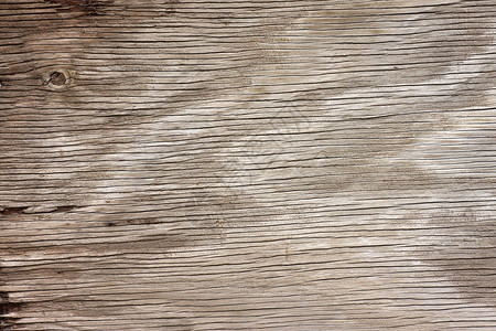 Grunge木林木板宏观木头墙纸艺术风化艺术品背景图片