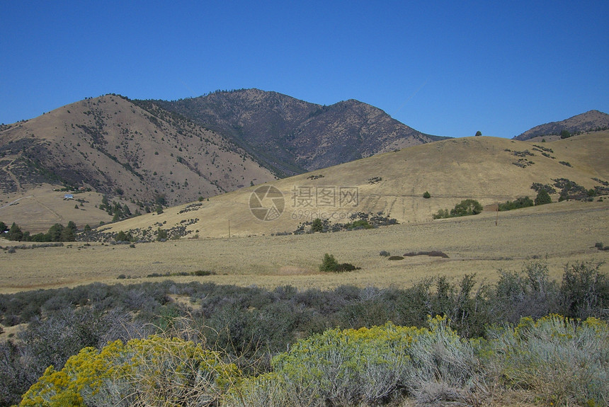 加利福尼亚山丘丘陵蓝色假期山坡棕色远景天空山脉旅行图片