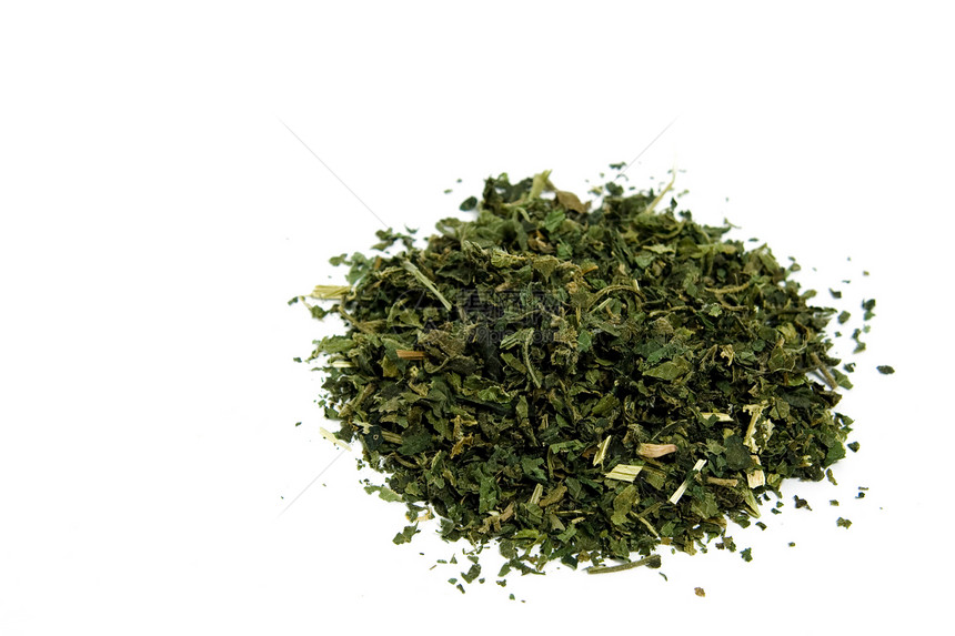 茶植物草本植物宏观荨麻疹医疗草本健康白色图片