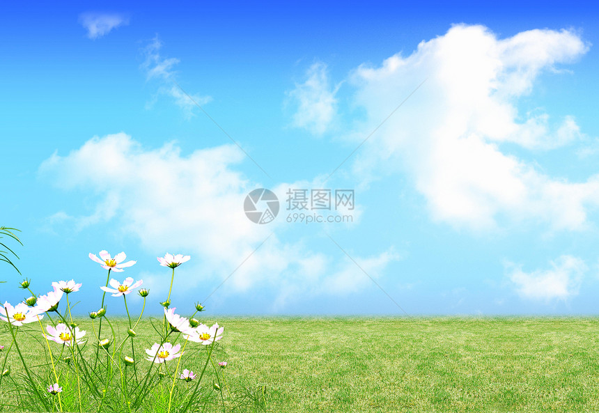 新鲜性质太阳蓝色天气反射麦田树叶分支机构宏观国家生长图片
