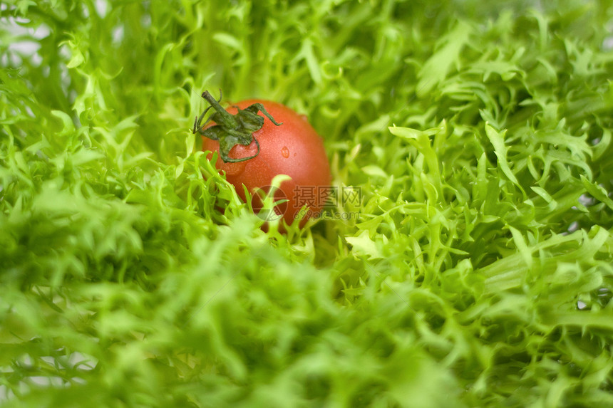 蔬菜红色爱情绿色食物食品水果西红柿静物树叶小番茄图片