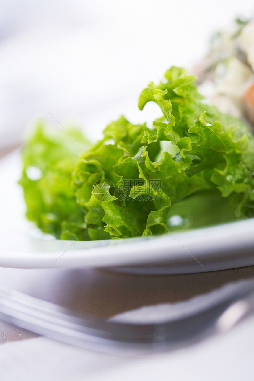 绿沙拉蔬菜叶子饮食纤维盘子草本植物午餐用餐玻璃绿色图片