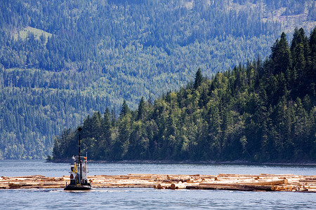 沿海伐木木头记录漂浮海滩拖船日志森林精梳机环境营林高清图片