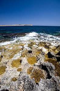 干珊瑚岛背景图片