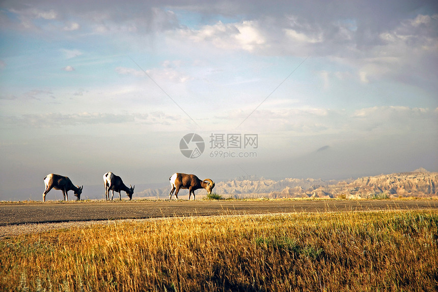 荒地照片风景山脉石灰石公园远景地标山丘砂岩草原图片