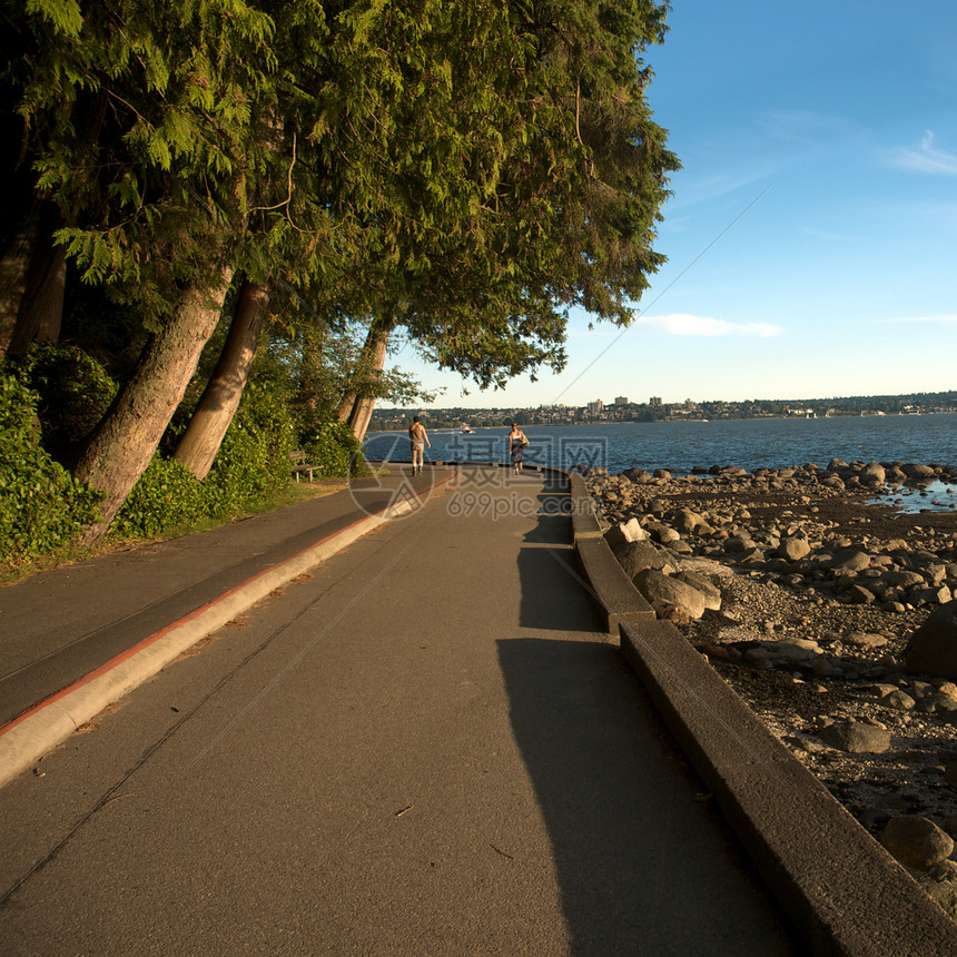 温哥华斯坦利公园岩石小路公园海岸港口照片旅行摄影旅游树木图片