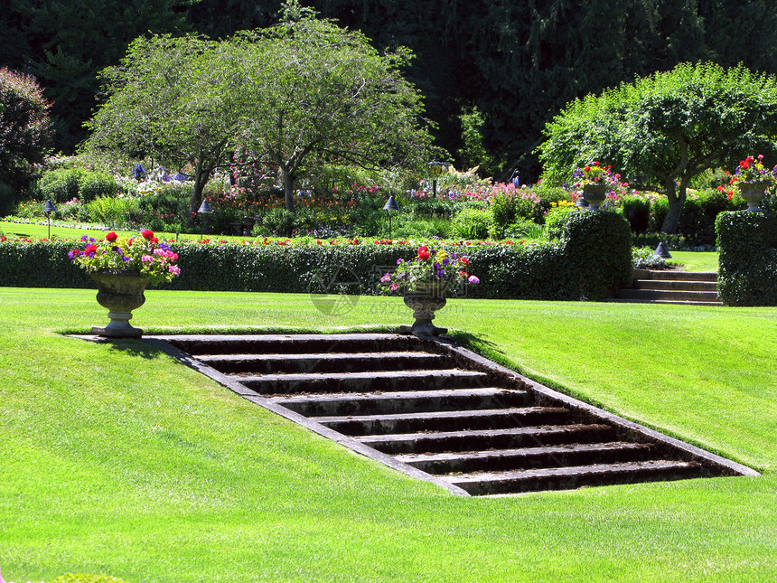 不列颠哥伦比亚省维多利亚州布查特花园地标树木公园冥想反射游客旅行花园花朵风景图片