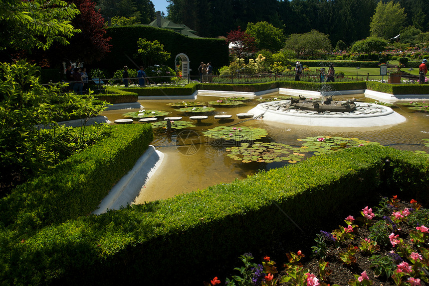不列颠哥伦比亚省维多利亚州布查特花园游客植物旅行冥想花朵树木风景反射花园美丽图片