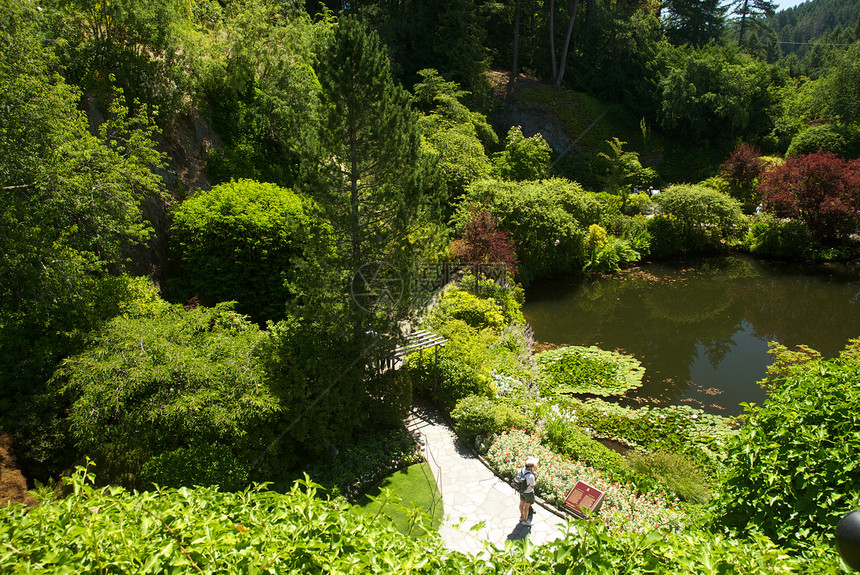不列颠哥伦比亚省维多利亚州布查特花园花朵旅行树木反射冥想美丽照片植物游客风景图片
