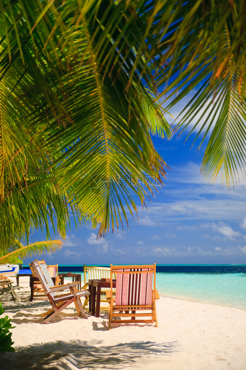 热带天堂的放松阳光地平线树木海浪叶子阳伞旅游气候太阳风景图片