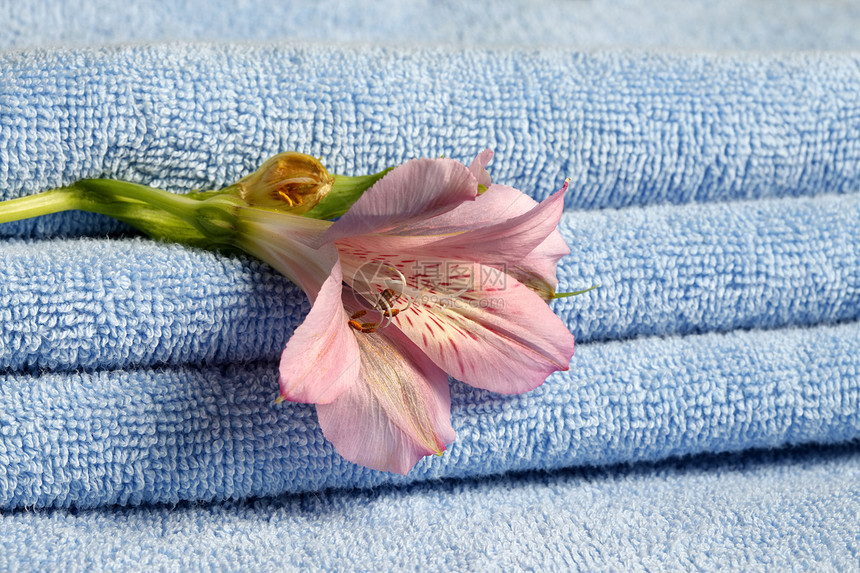 带花朵的蓝毛巾浴室奢华棉布温泉呵护桑拿粉色柔软度折叠图片