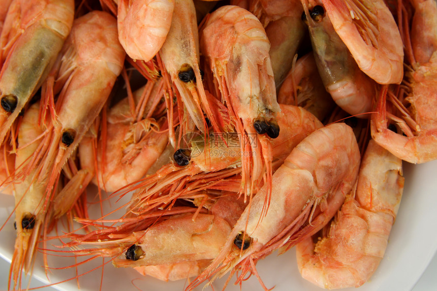 整条新鲜虾饮食动物烹饪贝类海鲜食物甲壳美食对虾老虎图片