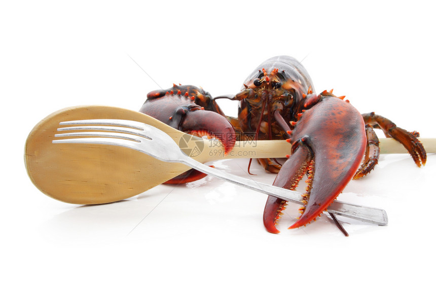 龙虾捕食杂质图片