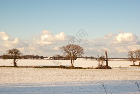 冬季场景白色天空背景图片