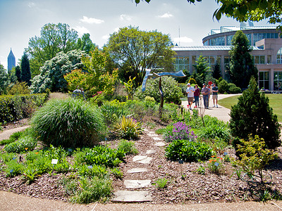 多萝西亚特兰大植物园正方形植物园旅游探索草地花园公园太阳照片温室背景