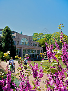 亚特兰大植物园植物草地公园旅游太阳花园植物园萝西生态正方形图片