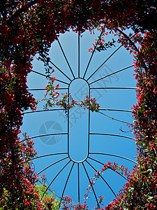 森杰德亚特兰大植物园草地公园探索旅游照片植物园生态花园温室植物背景