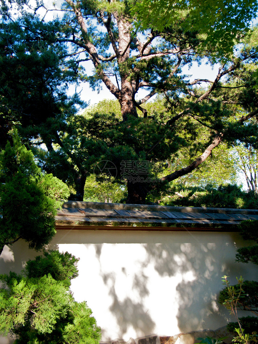 亚特兰大植物园温室太阳草地花园植物园旅游萝西公园照片正方形图片