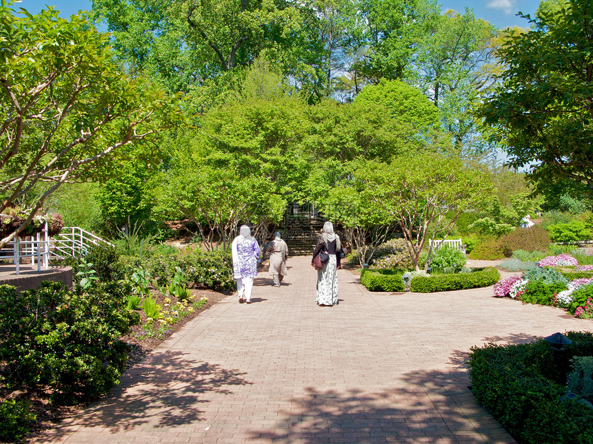 亚特兰大植物园花园植物园旅游萝西正方形植物探索公园生态温室图片