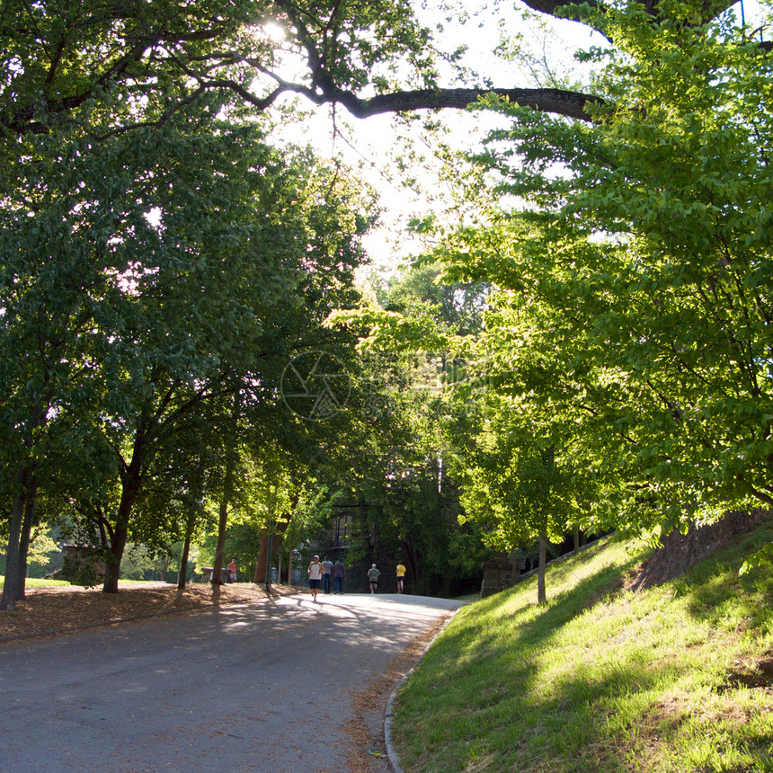 皮德蒙特公园景观跑步者慢跑者城市娱乐旅行公园自行车跑步照片图片
