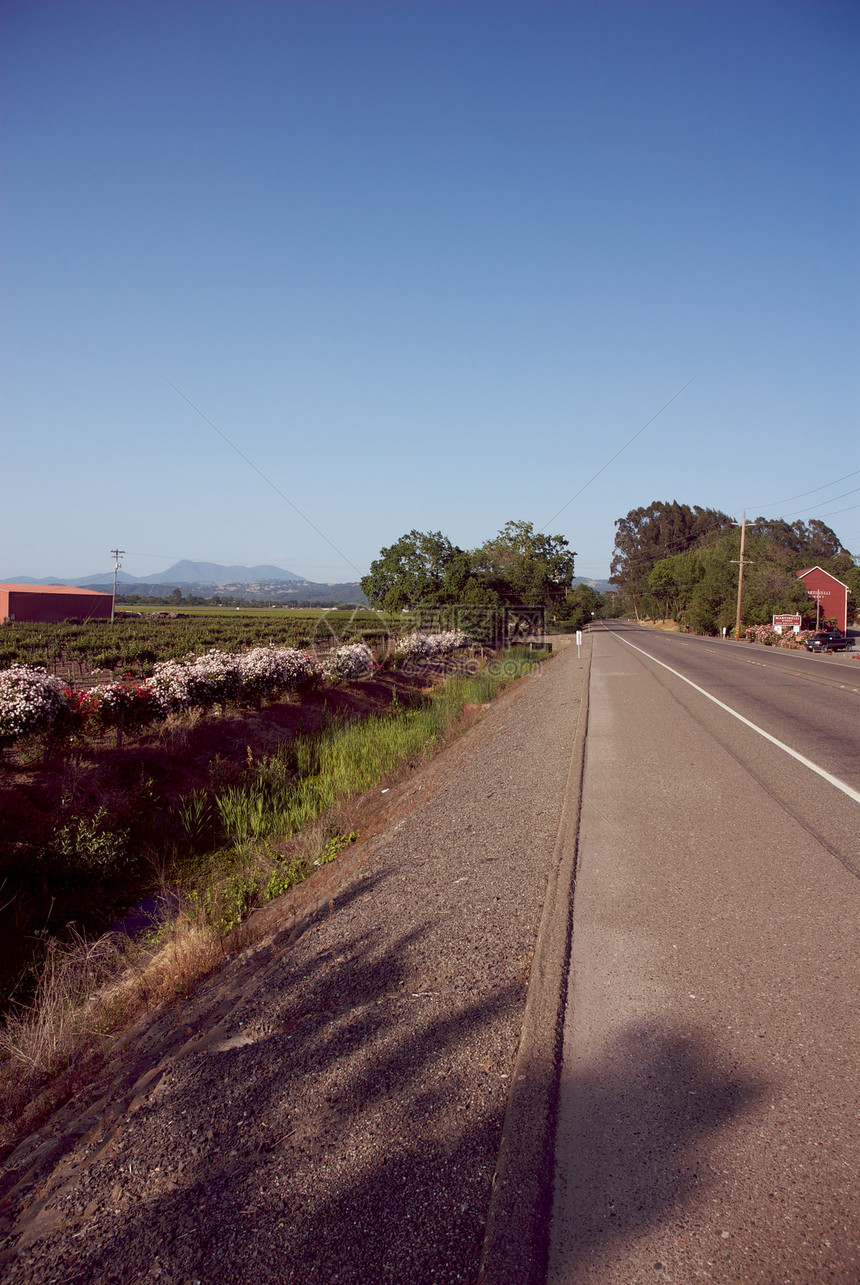 美国加利福尼亚州索诺马山谷目的地酒厂摄影藤蔓酿酒风景树叶旅游葡萄园图片