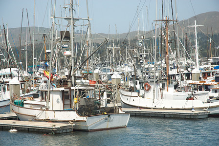 前苏联太平洋舰队Bodega湾加利福尼亚沿海渔 渔村风景旅行旅游渔船背景