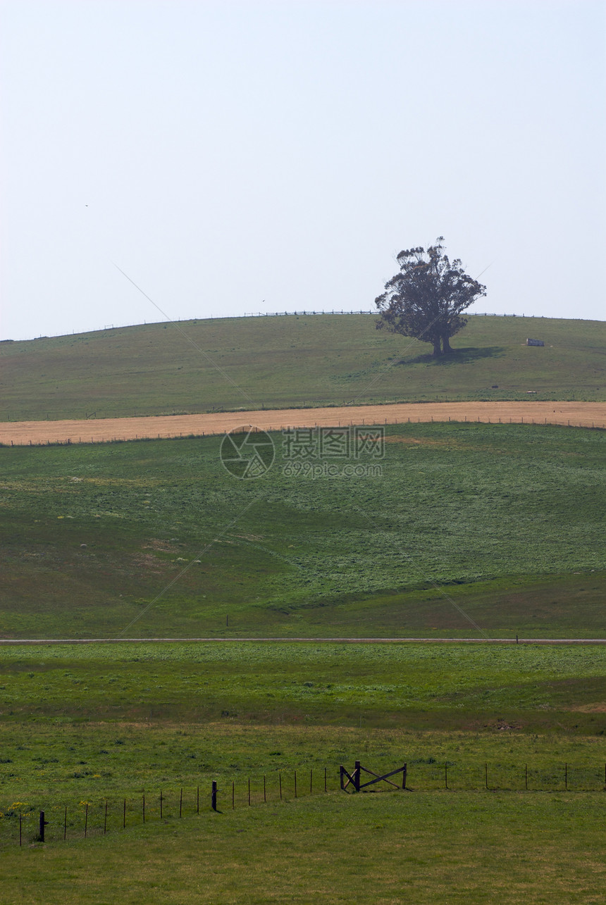 加利福尼亚农场州山脉牧场风景场地场景庄稼风光天空爬坡田园图片