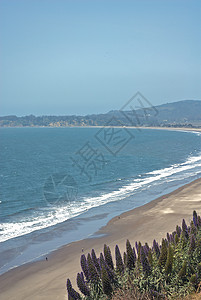 加利福尼亚索诺马海岸摄影背景图片
