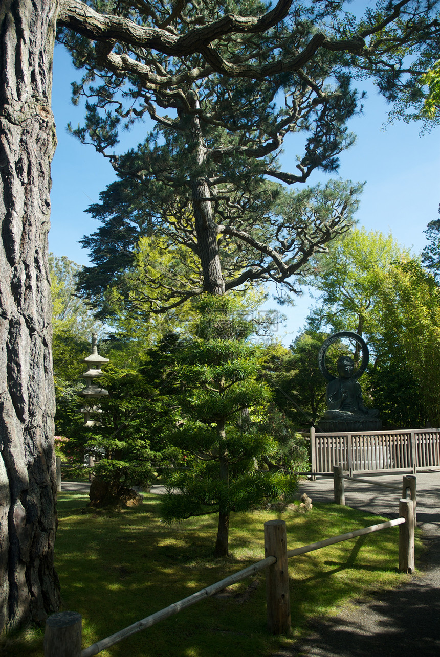 美国 加利福尼亚 旧金山 金门公园 日式茶园花园特色宗教池塘园景摄影结构旅游庭园外观图片