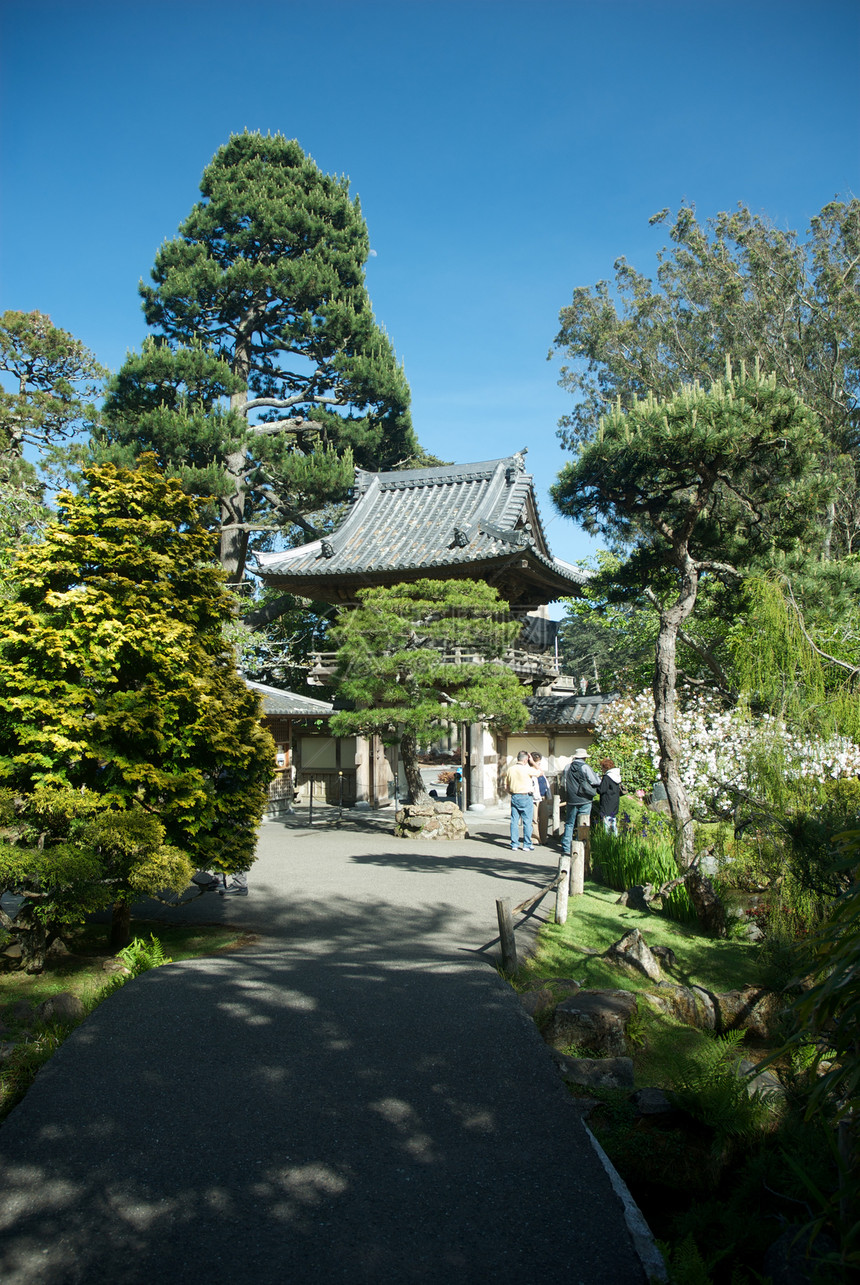 美国 加利福尼亚 旧金山 金门公园 日式茶园宗教文化寺庙城市建筑外观花园庭园园景摄影图片