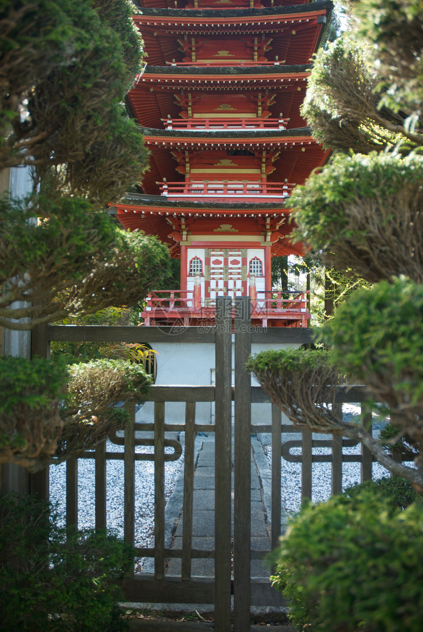 美国 加利福尼亚 旧金山 金门公园 日式茶园庭园结构旅游宗教外观花园园景建筑寺庙特色图片