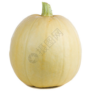 单南瓜葫芦壁球食物蔬菜白色背景图片