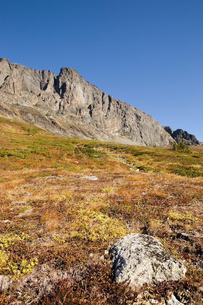 挪威山详细山区资料石头生态天空树木草地岩石顶峰荒野图片
