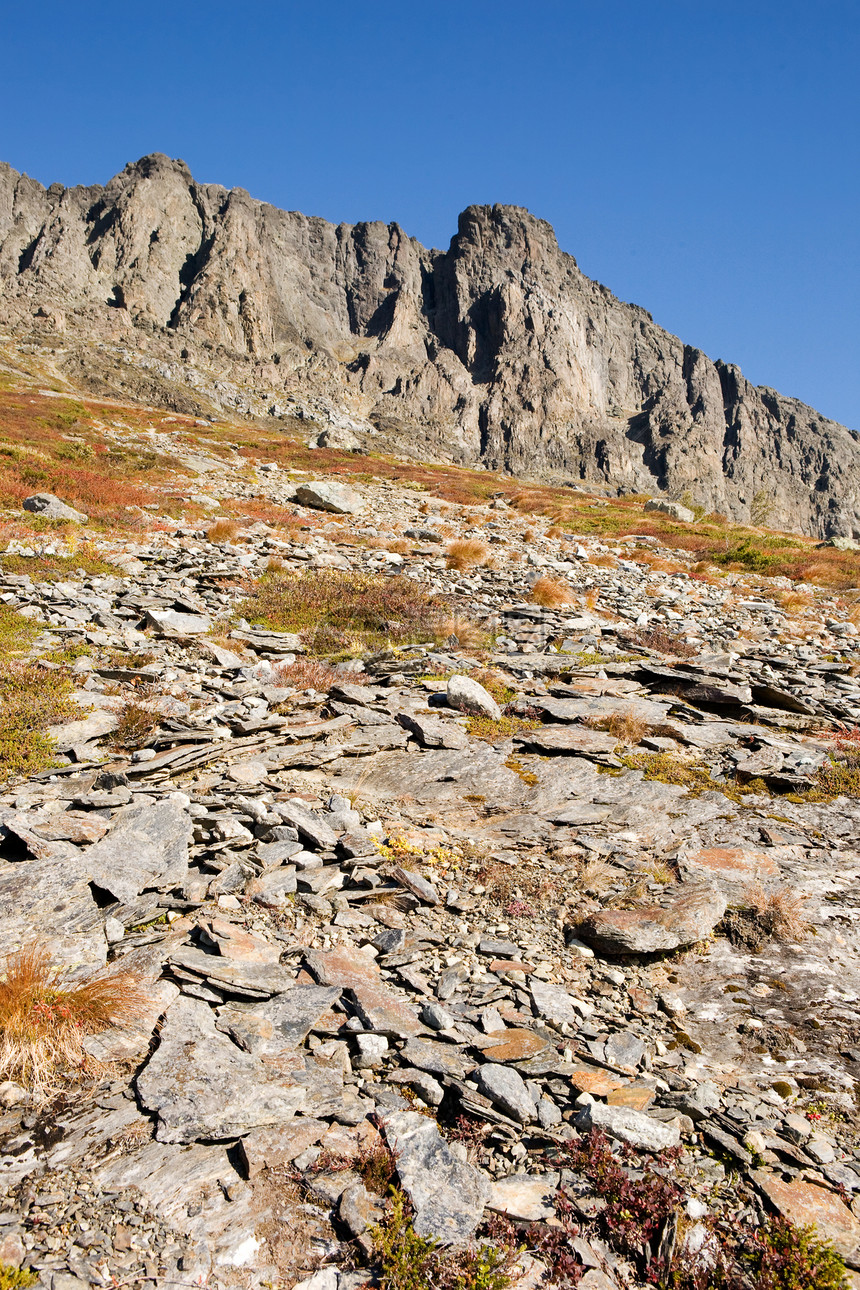 挪威山详细山区资料树木顶峰天空石头荒野岩石生态草地图片