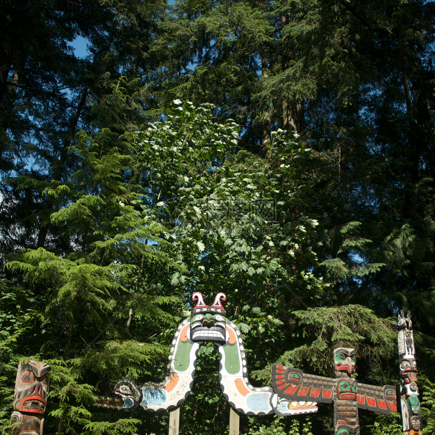 卡皮拉诺公园Capilano吊桥危险旅行游客树木摄影公园森林图片