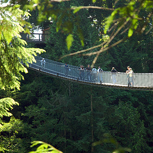 卡皮拉诺吊桥卡皮拉诺公园Capilano吊桥危险游客摄影公园旅行树木森林背景