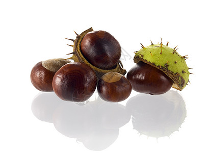 板栗带壳栗栗子棕色尖刺季节性水果坚果种子植物群板栗背景