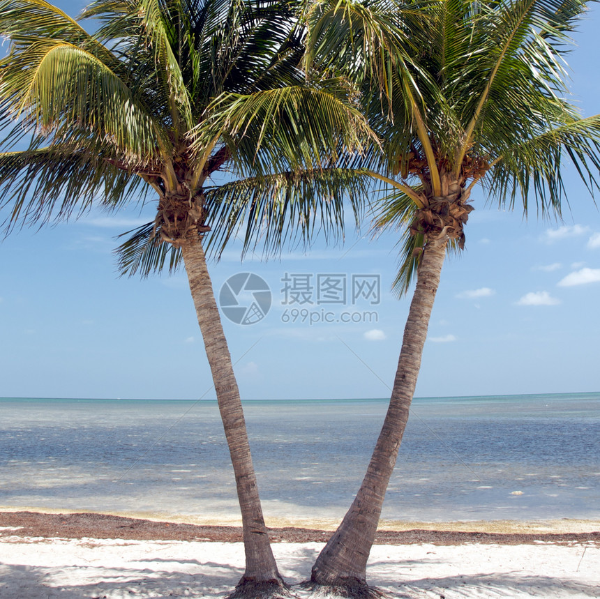 美国佛罗里达州西主要海滩达人公园旅行海洋海岸游泳钥匙海浪蓝色地平线图片