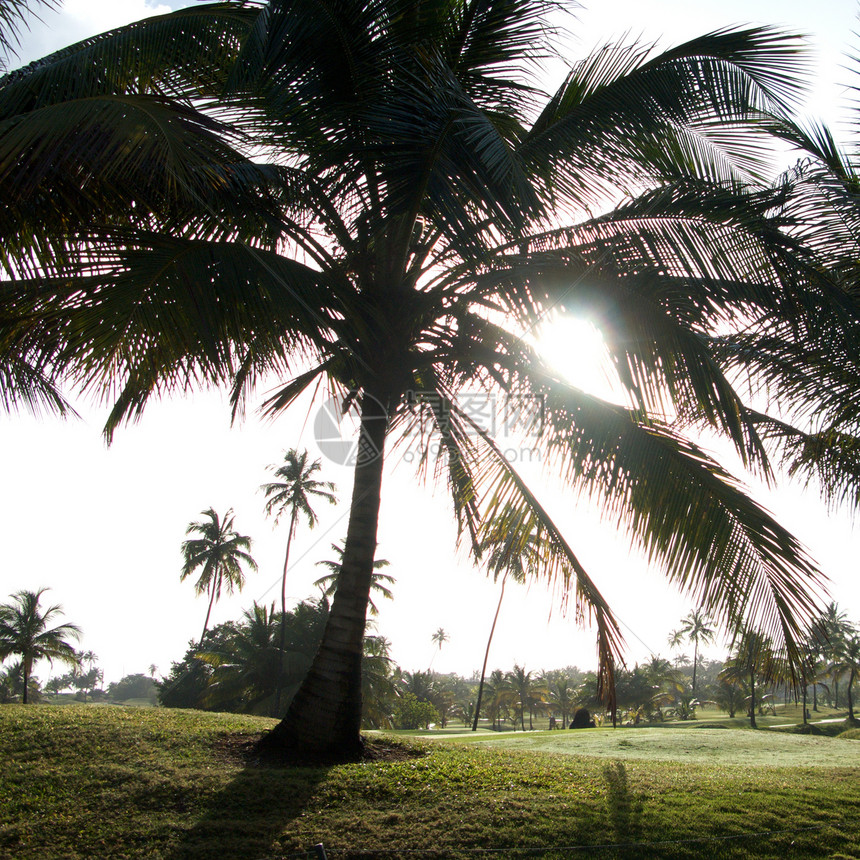 波多黎各度假村天空里科制作人热带绿色旅行高尔夫球摄影图片