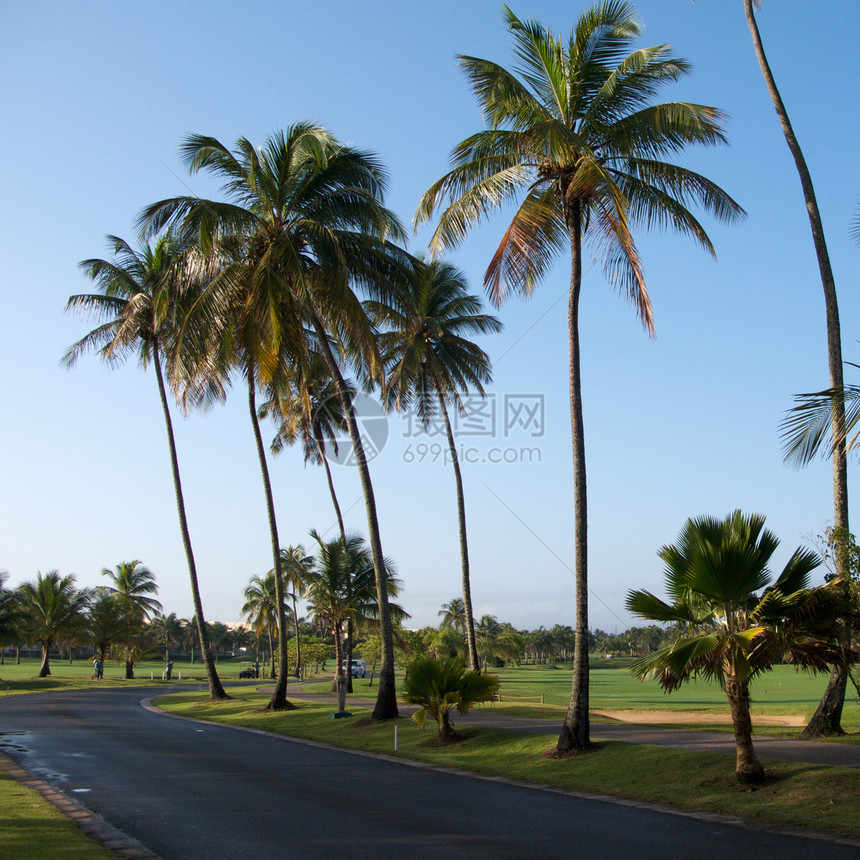 波多黎各度假村天空高尔夫球绿色热带里科摄影旅行制作人图片