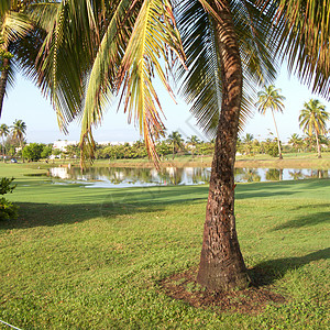 波多黎各度假村制作人里科高尔夫球摄影天空绿色热带旅行背景图片